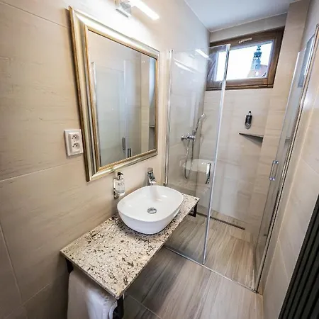 Boutique Old Town 公寓 捷克布杰约维采
